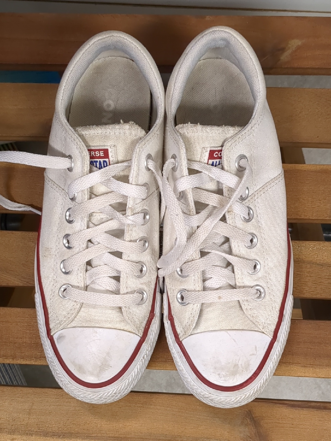 Converse Low Top Canvas Sneakers In White